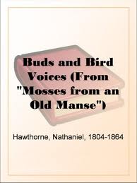 Buds and Bird Voices (From 